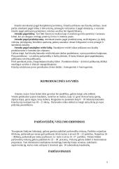 Kiaulių veisimo ypatumai 5 puslapis