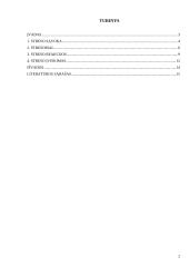 Stresas, stresoriai ir streso įveikimas 2 puslapis