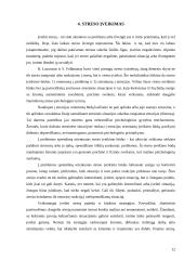 Stresas, stresoriai ir streso įveikimas 12 puslapis