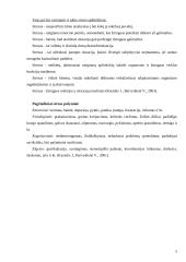 Stresas, stresoriai ir streso įveikimas 5 puslapis