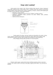 Kietas vanduo - problemos ir sprendimai 7 puslapis