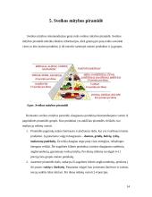 Sveika ir racionali mityba vaikystėje 14 puslapis