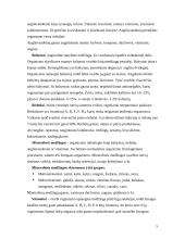 Sveika ir racionali mityba vaikystėje 5 puslapis