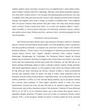 Kinijos virtuvė 13 puslapis