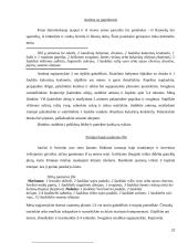 Kinijos virtuvė 20 puslapis