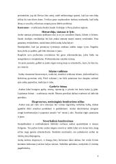 Tarpkultūriniai skirtumai versle: Jungtinių Arabų Emyratų šalies atvejis 7 puslapis