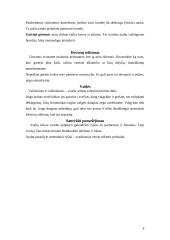 Tarpkultūriniai skirtumai versle: Jungtinių Arabų Emyratų šalies atvejis 9 puslapis