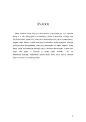 Tarpkultūriniai skirtumai versle: Jungtinių Arabų Emyratų šalies atvejis 10 puslapis