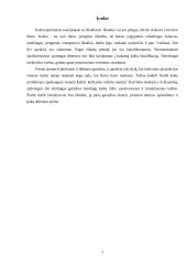 Kintamųjų ir pastoviųjų išlaidų prasmė ir esmė 3 puslapis