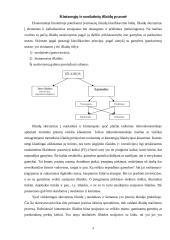 Kintamųjų ir pastoviųjų išlaidų prasmė ir esmė 4 puslapis