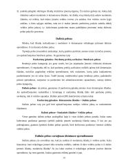 Kintamųjų ir pastoviųjų išlaidų prasmė ir esmė 10 puslapis