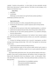 Klaidos ir apgaulės 7 puslapis