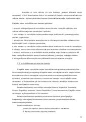 Klaipėdos miesto savivaldybės turto valdymas ir privatizavimas 12 puslapis