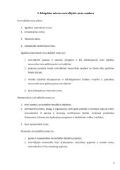 Klaipėdos miesto savivaldybės turto valdymas ir privatizavimas 4 puslapis