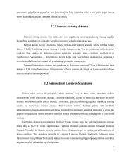Tėvų ir vaikų asmeniniai santykiai pagal Lietuvos Statutus 3 puslapis