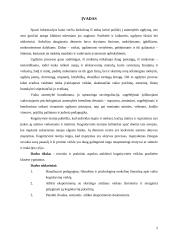 Kognityvinės veiklos pradinėse klasėse ypatumai 2 puslapis