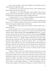 Kognityvinės veiklos pradinėse klasėse ypatumai 6 puslapis