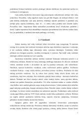 Kognityvinės veiklos pradinėse klasėse ypatumai 7 puslapis