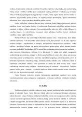 Kognityvinės veiklos pradinėse klasėse ypatumai 8 puslapis