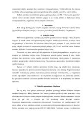 Kokybės vadyba: AB "Vakarų laivų gamykla" 6 puslapis