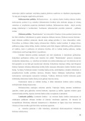 Komerciniai bankai ir jų paslaugos Europos sąjungoje 19 puslapis