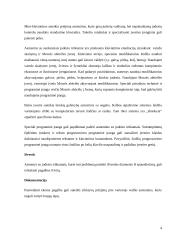 Kompiuteriai neįgaliesiems 4 puslapis