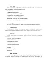 Kompiuterinės programos "Stekas-apskaita" galimybės 9 puslapis
