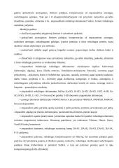 Kompiuterinės programos "Stekas-apskaita" galimybės 10 puslapis