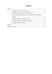 Valstybės tarnyba 2 puslapis