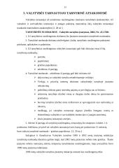 Valstybės tarnyba 11 puslapis