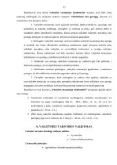 Valstybės tarnyba 13 puslapis