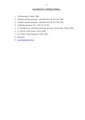 Valstybės tarnyba 17 puslapis