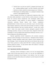 Kompiuterinės technologijos 14 puslapis