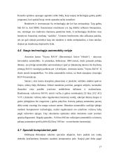 Kompiuterinės technologijos 17 puslapis