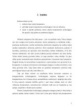 Kompiuterinės technologijos 3 puslapis