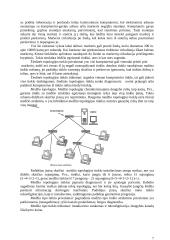 Kompiuterinio tinklo įrengimas ir paleidimas 7 puslapis
