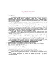 Kompiuterio sandara ir dalys 12 puslapis