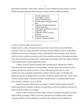 Viešoji politika ir analizė 4 puslapis