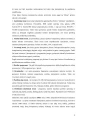 Kompiuterių lyginamųjų testų analizė 4 puslapis