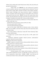 Kompiuterių lyginamųjų testų analizė 5 puslapis