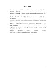 Vyriausybės santykiai su Seimu, Respublikos prezidentu ir vietos savivaldos institucijomis 15 puslapis
