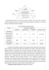Kompiuterių raida, istorija 11 puslapis