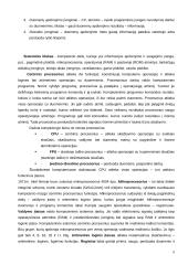 Kompiuterių raida, istorija 8 puslapis