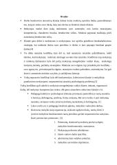 Konfliktai mokyklos bendruomenėje 13 puslapis