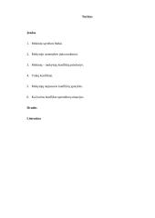 Konfliktai mokyklos bendruomenėje 15 puslapis