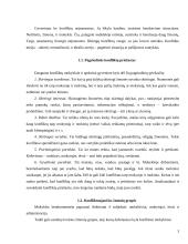 Konfliktų mokykloje priežastys ir jų sprendimo būdai 3 puslapis