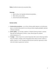Konkurencinio pranašumo kilmė 4 puslapis