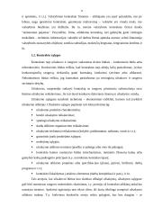 Kontraktinės kainodaros metodai 6 puslapis