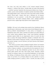 Filmo analizė: "Keista Bendžamino Batono istorija" 4 puslapis