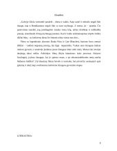 Filmo analizė: "Keista Bendžamino Batono istorija" 8 puslapis